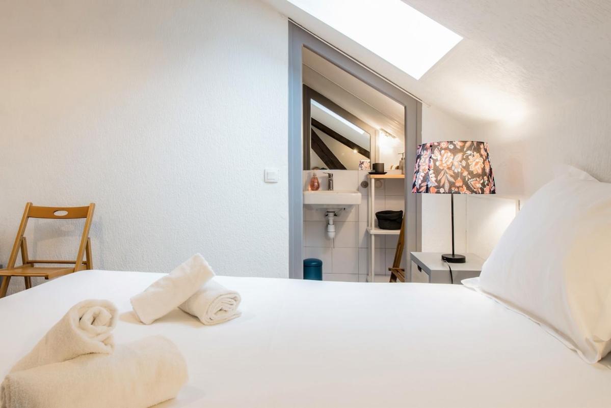 Refuge Centre Ville Avec Parking Annecy Eksteriør billede